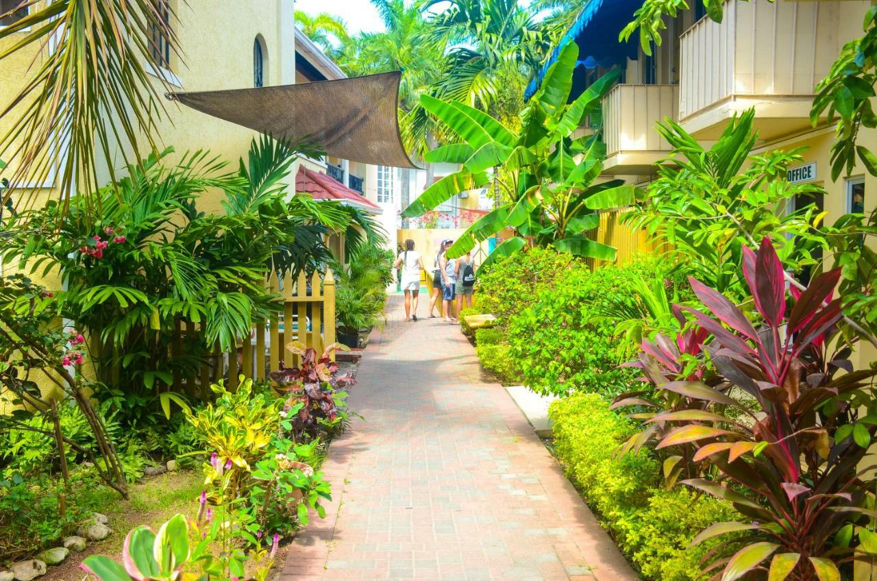 Reggae Hostel Ocho Rios Exterior photo